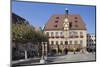Town Hall with Astronomical Clock, Market Place, Heilbronn, Baden Wurttemberg, Germany, Europe-Markus Lange-Mounted Photographic Print