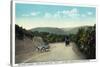 Town Hill Mountain, Maryland - National Road Between Cumberland and Hagerstown-Lantern Press-Stretched Canvas