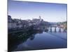 Town of Albi, Tarn River, Tarn Region, France-John Miller-Mounted Photographic Print