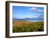 Town of Astoria across Youngs Bay, Clatsop County, Oregon, USA-null-Framed Photographic Print