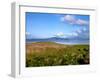 Town of Astoria across Youngs Bay, Clatsop County, Oregon, USA-null-Framed Photographic Print