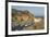 Town of Avalon on Catalina Island, Southern California, USA-Stuart Westmorland-Framed Premium Photographic Print