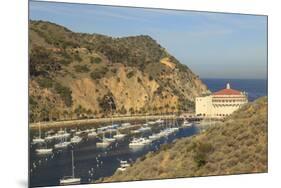 Town of Avalon on Catalina Island, Southern California, USA-Stuart Westmorland-Mounted Premium Photographic Print