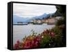 Town of Bellagio and Lake Como, Lombardy, Italian Lakes, Italy, Europe-Frank Fell-Framed Stretched Canvas