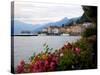 Town of Bellagio and Lake Como, Lombardy, Italian Lakes, Italy, Europe-Frank Fell-Stretched Canvas