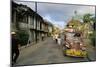 Town of Boac, Island of Marinduque, South of Luzon, Philippines, Southeast Asia-Bruno Barbier-Mounted Photographic Print