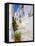 Town of Frigiliana, White Town in Andalusia, Spain-Carlos S?nchez Pereyra-Framed Stretched Canvas