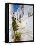 Town of Frigiliana, White Town in Andalusia, Spain-Carlos S?nchez Pereyra-Framed Stretched Canvas