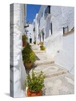 Town of Frigiliana, White Town in Andalusia, Spain-Carlos S?nchez Pereyra-Stretched Canvas