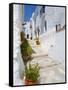 Town of Frigiliana, White Town in Andalusia, Spain-Carlos S?nchez Pereyra-Framed Stretched Canvas