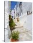 Town of Frigiliana, White Town in Andalusia, Spain-Carlos S?nchez Pereyra-Stretched Canvas