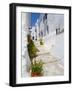 Town of Frigiliana, White Town in Andalusia, Spain-Carlos S?nchez Pereyra-Framed Photographic Print