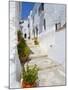 Town of Frigiliana, White Town in Andalusia, Spain-Carlos S?nchez Pereyra-Mounted Photographic Print