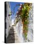 Town of Frigiliana, White Town in Andalusia, Spain-Carlos Sánchez Pereyra-Stretched Canvas