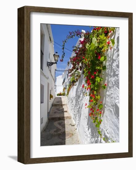 Town of Frigiliana, White Town in Andalusia, Spain-Carlos Sánchez Pereyra-Framed Photographic Print