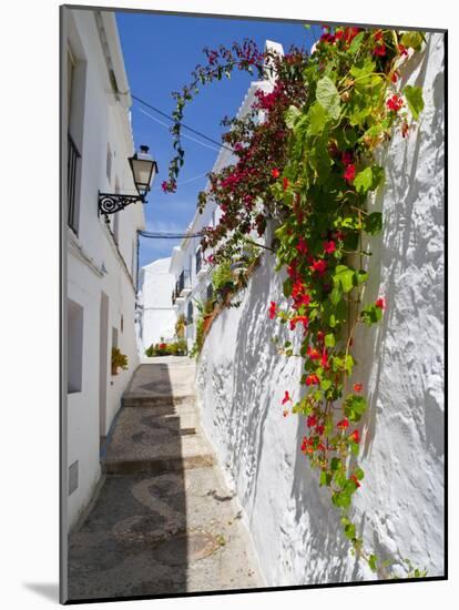 Town of Frigiliana, White Town in Andalusia, Spain-Carlos Sánchez Pereyra-Mounted Photographic Print