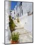 Town of Frigiliana, White Town in Andalusia, Spain-Carlos S?nchez Pereyra-Mounted Photographic Print