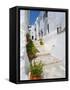 Town of Frigiliana, White Town in Andalusia, Spain-Carlos S?nchez Pereyra-Framed Stretched Canvas