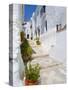 Town of Frigiliana, White Town in Andalusia, Spain-Carlos S?nchez Pereyra-Stretched Canvas