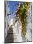 Town of Frigiliana, White Town in Andalusia, Spain-Carlos Sánchez Pereyra-Mounted Photographic Print