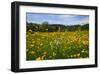 Town of Holzhausen on Lake Starnberg against Zugspitze Mountain Range (2962m), Germany-null-Framed Art Print