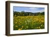 Town of Holzhausen on Lake Starnberg against Zugspitze Mountain Range (2962m), Germany-null-Framed Art Print