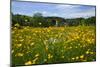 Town of Holzhausen on Lake Starnberg against Zugspitze Mountain Range (2962m), Germany-null-Mounted Art Print