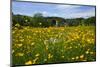 Town of Holzhausen on Lake Starnberg against Zugspitze Mountain Range (2962m), Germany-null-Mounted Art Print