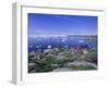 Town of Ilulissat, Formerly Jacobshavn, West Coast, Greenland, Polar Regions-Robert Harding-Framed Photographic Print