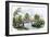 Town of Marysville, California, during the California Gold Rush, c.1850-null-Framed Giclee Print