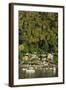 Town of Soufriere, St. Lucia, Windward Islands, West Indies, Caribbean, Central America-Richard Cummins-Framed Photographic Print