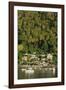 Town of Soufriere, St. Lucia, Windward Islands, West Indies, Caribbean, Central America-Richard Cummins-Framed Photographic Print