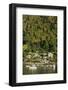 Town of Soufriere, St. Lucia, Windward Islands, West Indies, Caribbean, Central America-Richard Cummins-Framed Photographic Print