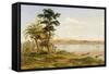 Town of Tete from the North Shore of the Zambezi, 1859-Thomas Baines-Framed Stretched Canvas