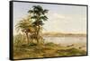 Town of Tete from the North Shore of the Zambezi, 1859-Thomas Baines-Framed Stretched Canvas