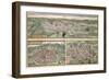 Town Plans of Rouen, Nimes and Bordeaux, from Civitates Orbis Terrarum by Georg Braun-Joris Hoefnagel-Framed Giclee Print