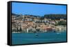 Town seafront panorama with low-rise buildings, Argostoli, Cephalonia Ionia Islands, Greek Islands-bestravelvideo-Framed Stretched Canvas