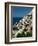 Town View from Amalfi Coast Road, Positano, Amalfi, Campania, Italy-Walter Bibikow-Framed Photographic Print