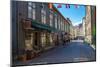 Town view, Gothenburg, province of Västra Götalands län, Sweden-Andrea Lang-Mounted Photographic Print