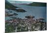 Town View of Wrangell, Alaska - Wrangell, AK-Lantern Press-Mounted Premium Giclee Print