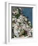 Town View, Positano, Amalfi Coast, Campania, Italy-Walter Bibikow-Framed Photographic Print