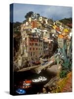 Town View, Rio Maggiore, Cinque Terre, Italy-Alison Jones-Stretched Canvas