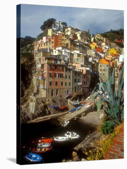 Town View, Rio Maggiore, Cinque Terre, Italy-Alison Jones-Stretched Canvas