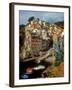 Town View, Rio Maggiore, Cinque Terre, Italy-Alison Jones-Framed Premium Photographic Print