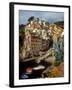 Town View, Rio Maggiore, Cinque Terre, Italy-Alison Jones-Framed Premium Photographic Print