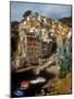 Town View, Rio Maggiore, Cinque Terre, Italy-Alison Jones-Mounted Photographic Print