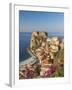 Town View With Castello Ruffo, Scilla, Calabria, Italy-Peter Adams-Framed Photographic Print