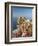 Town View With Castello Ruffo, Scilla, Calabria, Italy-Peter Adams-Framed Photographic Print