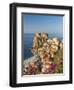 Town View With Castello Ruffo, Scilla, Calabria, Italy-Peter Adams-Framed Photographic Print