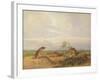 Townsend's Meadow Mouse, Meadow Vale and Swamp Rice Rat (Or Rice Meadow House)-John Woodhouse Audubon-Framed Giclee Print